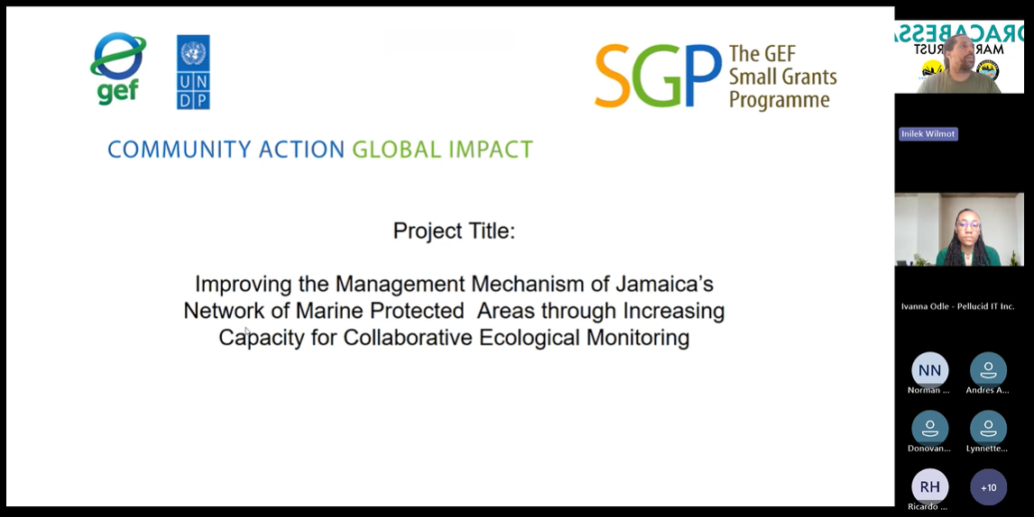 Presentation on the Project by Inilek Wilmot, Board Member of the Oracabessa Marine Trust.